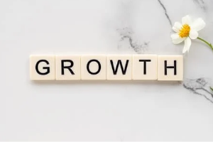 Success for mindset techniques: growth mindset